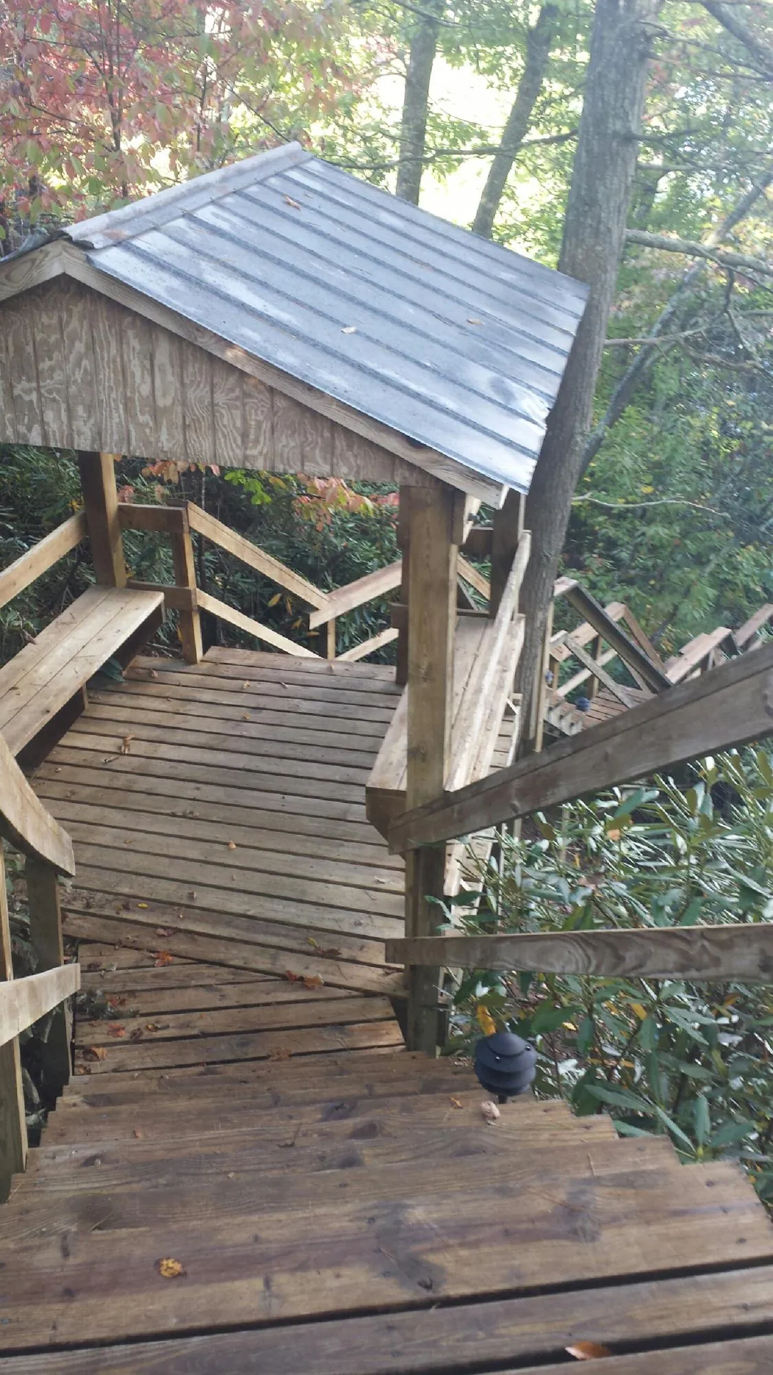 Metal roofed shelter over wooden steps on a wooded walkway — Skylight Repair & Installation work by our crew in Ringling