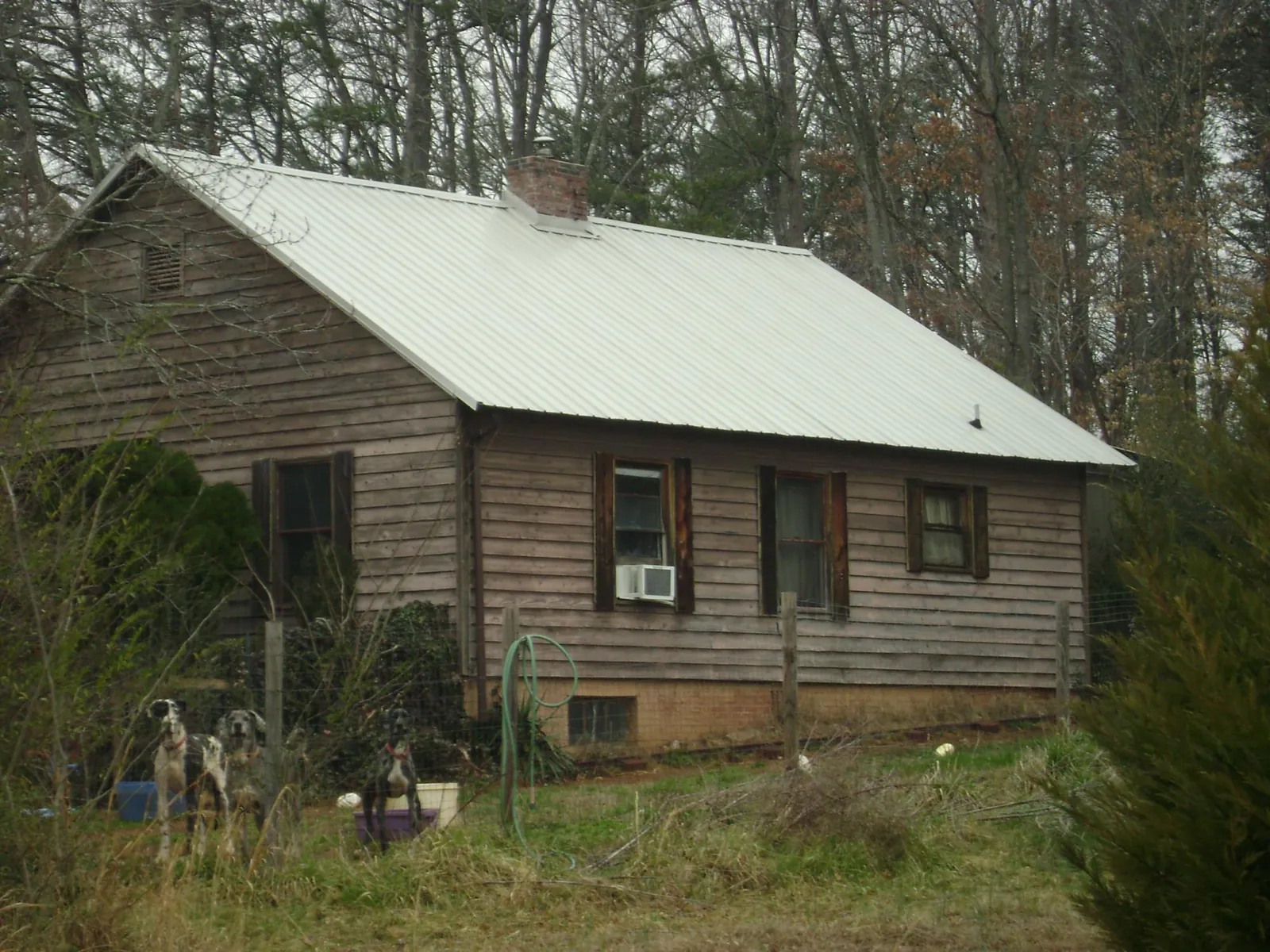 White metal roof on an old wood sided farmhouse, from a Asphalt Shingle Roof Repair job in Ringling